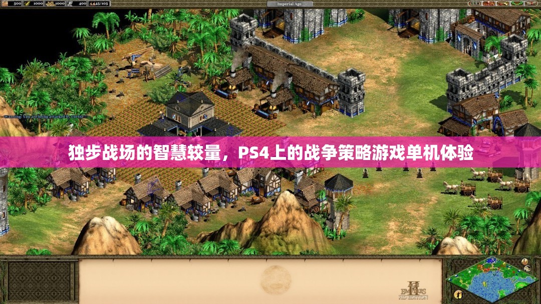 PS4上的戰(zhàn)爭智慧，獨(dú)步戰(zhàn)場的策略游戲體驗(yàn)