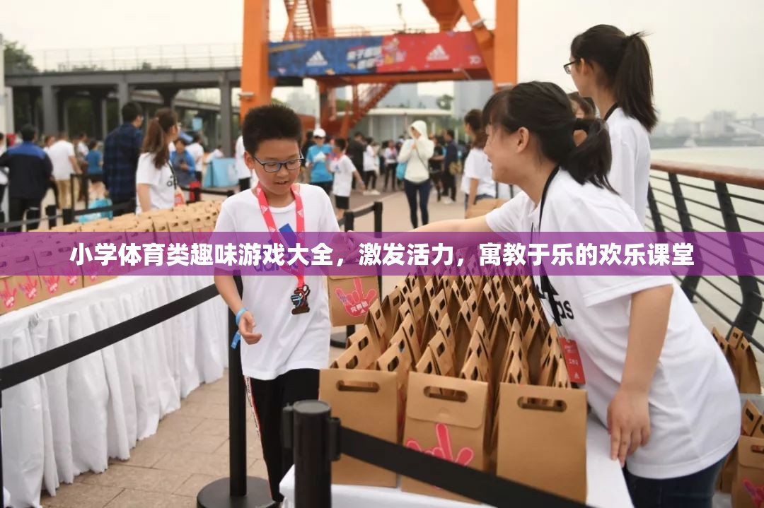 小學(xué)體育趣味游戲大全，激發(fā)活力，打造寓教于樂的歡樂課堂