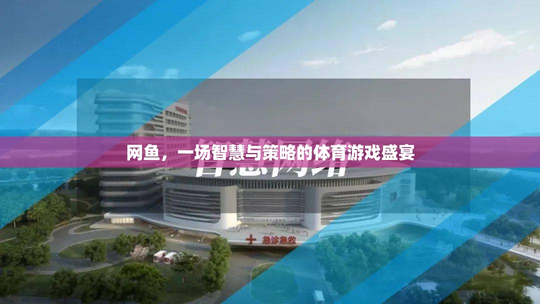 智慧與策略的碰撞，網(wǎng)魚體育游戲盛宴