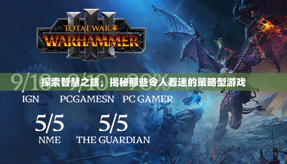 智慧之旅，揭秘策略型游戲的魅力與奧秘