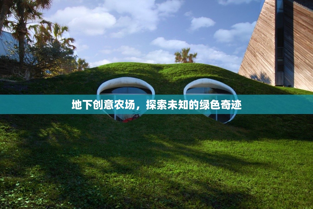 地下創(chuàng)意農(nóng)場，探索未知的綠色奇跡