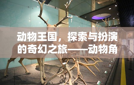 動(dòng)物王國(guó)，探索與扮演的奇幻之旅——打造動(dòng)物角色扮演區(qū)環(huán)創(chuàng)游戲