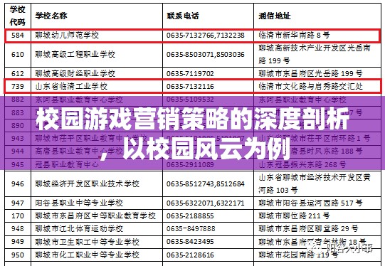 校園風云，深度剖析校園游戲營銷策略