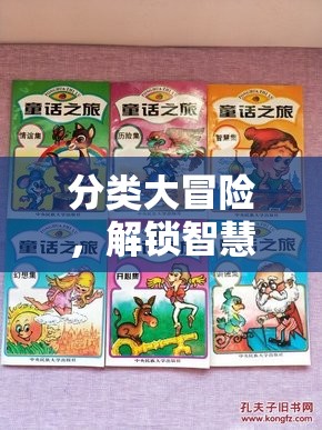 解鎖智慧與樂(lè)趣的分類(lèi)大冒險(xiǎn)，一場(chǎng)創(chuàng)意之旅的啟航