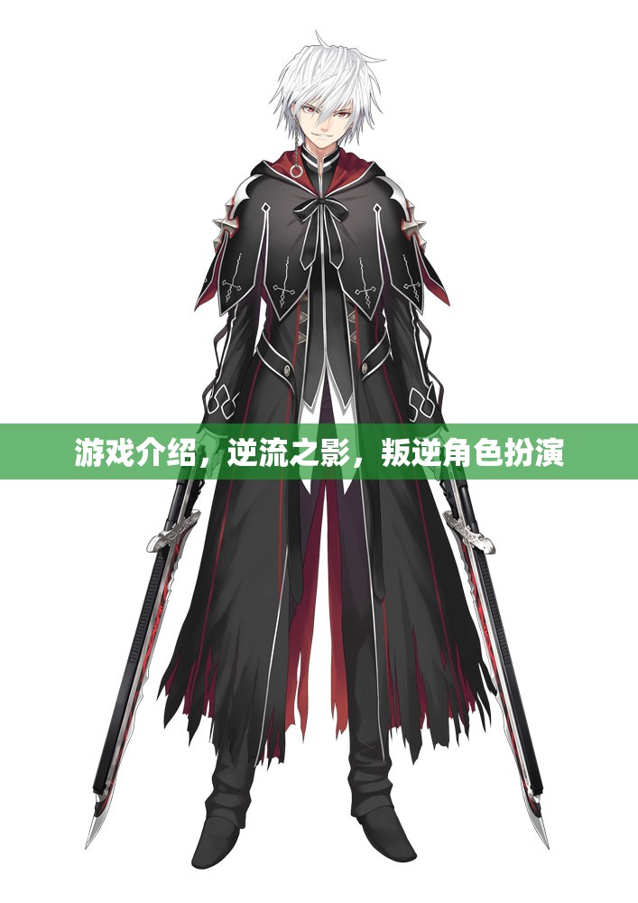 逆流之影，叛逆角色扮演的獨(dú)特游戲體驗(yàn)
