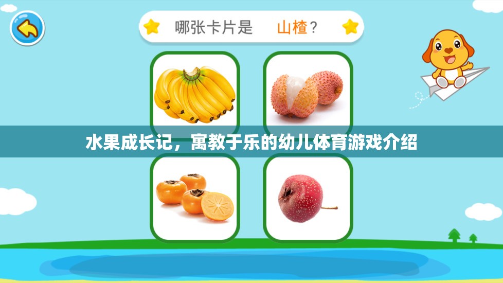果趣成長，寓教于樂的幼兒體育游戲
