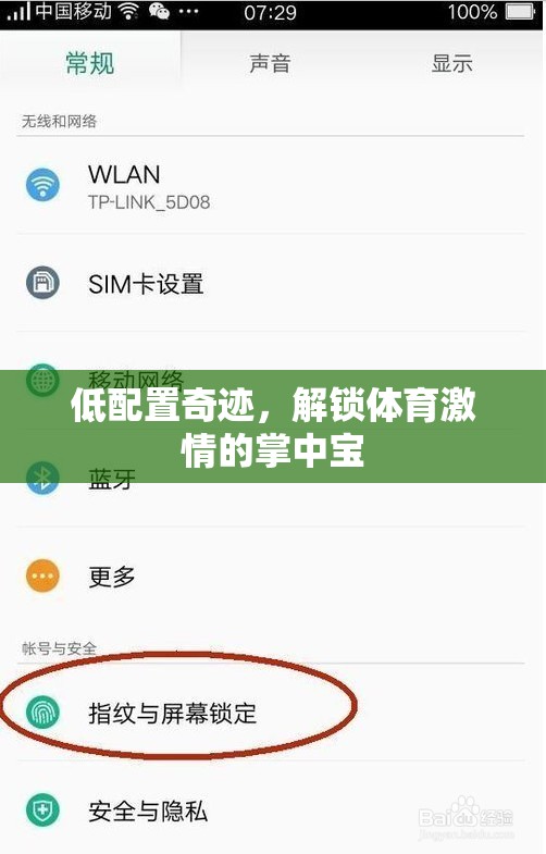 低配奇跡，解鎖掌中寶的體育激情