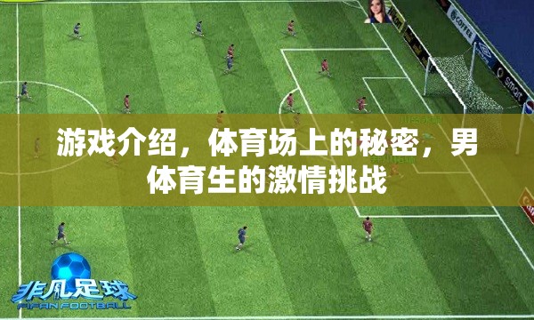 揭秘體育場(chǎng)上的秘密，男體育生的激情挑戰(zhàn)