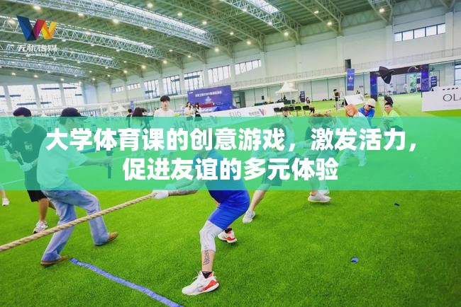 活力四射，友誼升溫，大學(xué)體育課的創(chuàng)意游戲多元體驗(yàn)  第3張