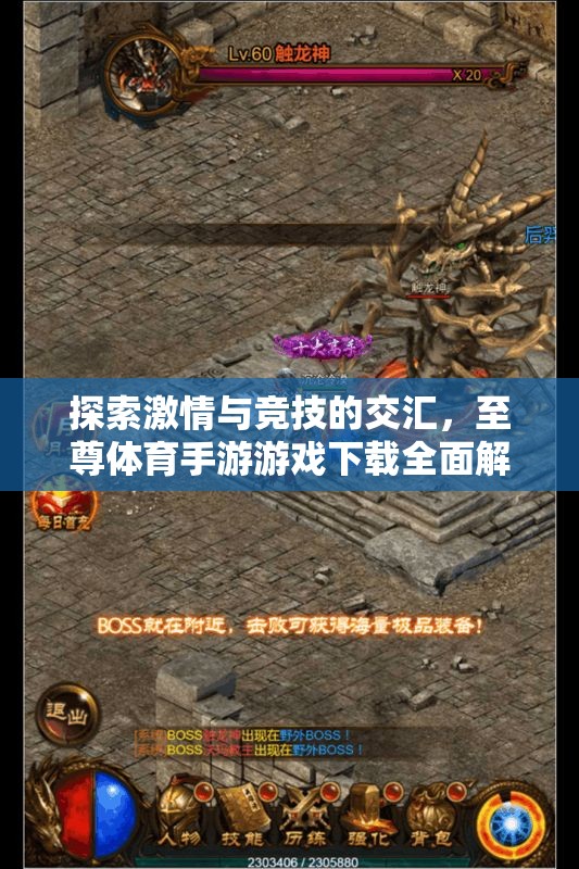 激情與競技的碰撞，至尊體育手游游戲下載全面解析