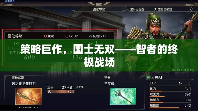 智者的終極戰(zhàn)場(chǎng)，策略巨作國(guó)士無雙  第1張