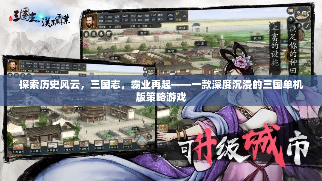 探索歷史風(fēng)云，三國志，霸業(yè)再起——一款深度沉浸的三國單機(jī)版策略游戲