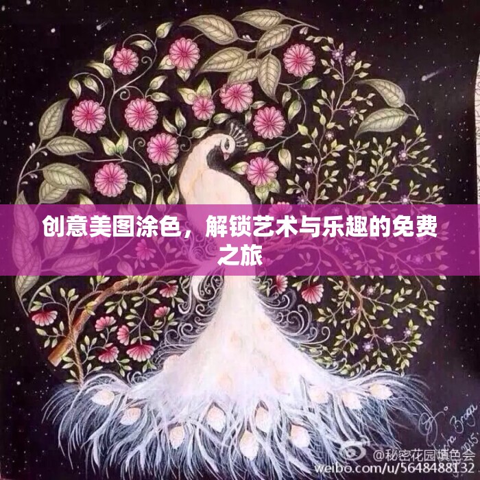 解鎖藝術(shù)與樂趣，免費創(chuàng)意美圖涂色之旅