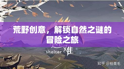 解鎖自然之謎，荒野創(chuàng)意的冒險(xiǎn)之旅