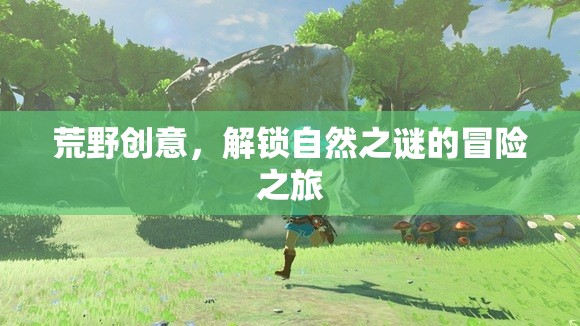 解鎖自然之謎，荒野創(chuàng)意的冒險(xiǎn)之旅