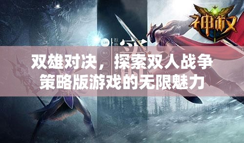 雙雄對決，解鎖雙人戰(zhàn)爭策略版游戲的無限魅力