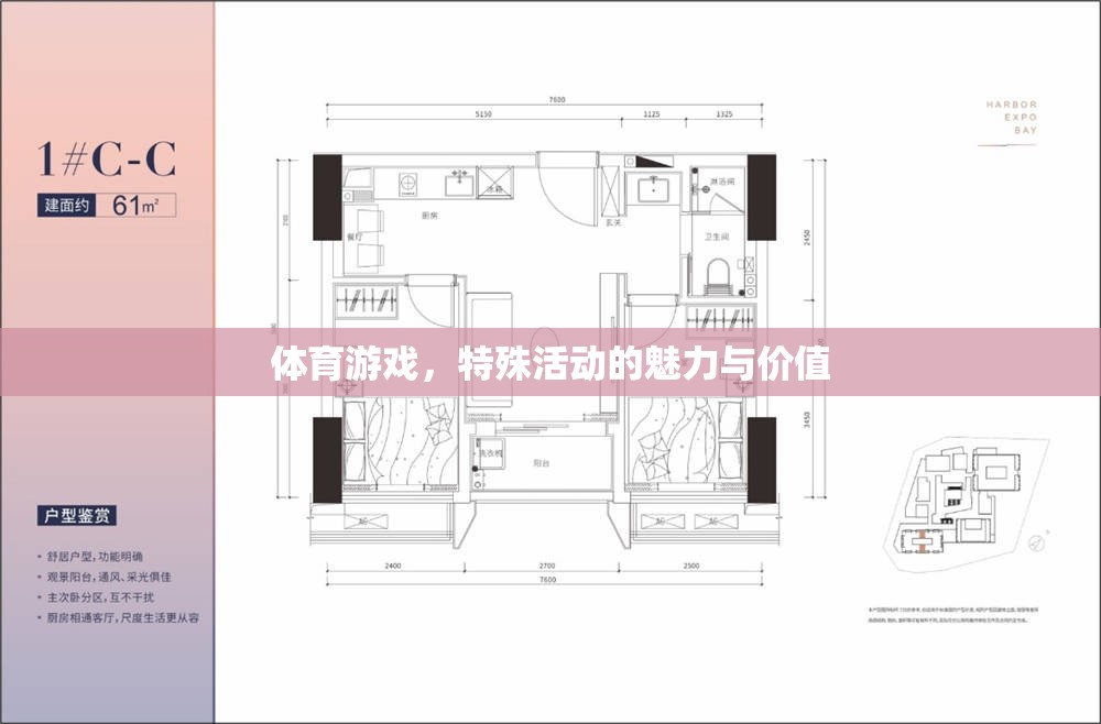 體育游戲，特殊活動的魅力與價值探索