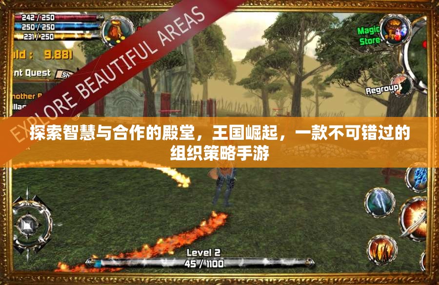 王國(guó)崛起，探索智慧與合作的策略手游