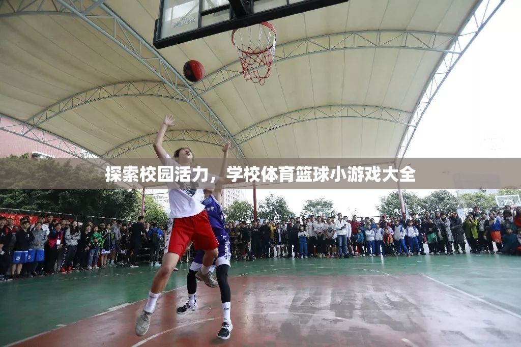 校園活力，學(xué)校體育籃球小游戲大全