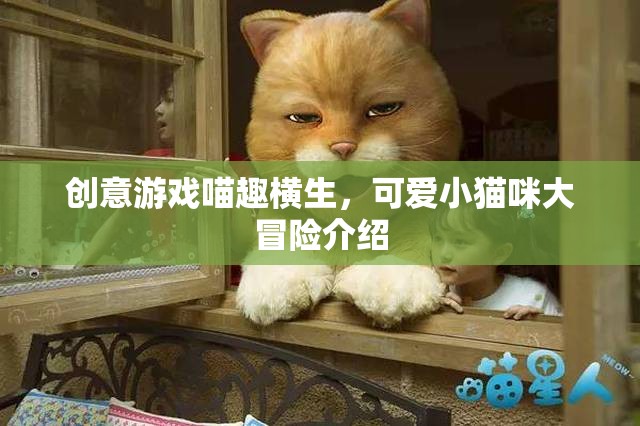 喵趣橫生，小貓咪的創(chuàng)意冒險之旅
