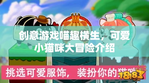 喵趣橫生，小貓咪的創(chuàng)意冒險之旅