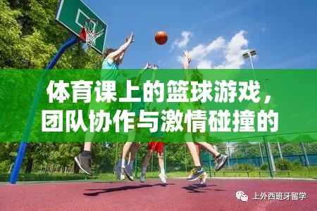 籃球場(chǎng)上的激情碰撞，體育課上的團(tuán)隊(duì)協(xié)作與挑戰(zhàn)