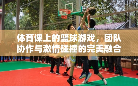 籃球場(chǎng)上的激情碰撞，體育課上的團(tuán)隊(duì)協(xié)作與挑戰(zhàn)