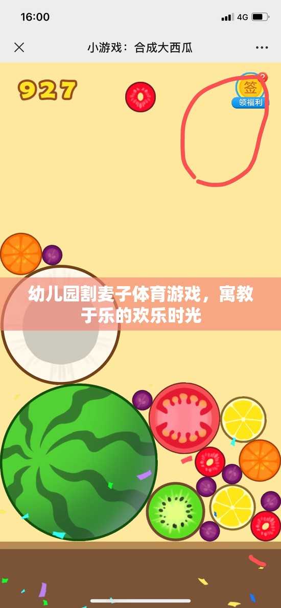 幼兒園割麥子體育游戲，寓教于樂(lè)的歡樂(lè)時(shí)光