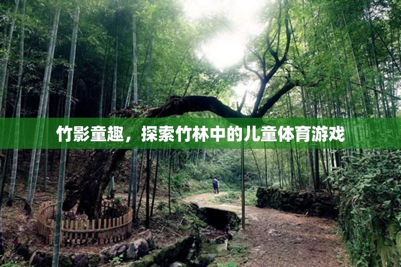 竹影童趣，探索竹林中的兒童體育游戲
