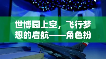 飛行夢(mèng)想的啟航，世博園上空的角色扮演飛行游戲