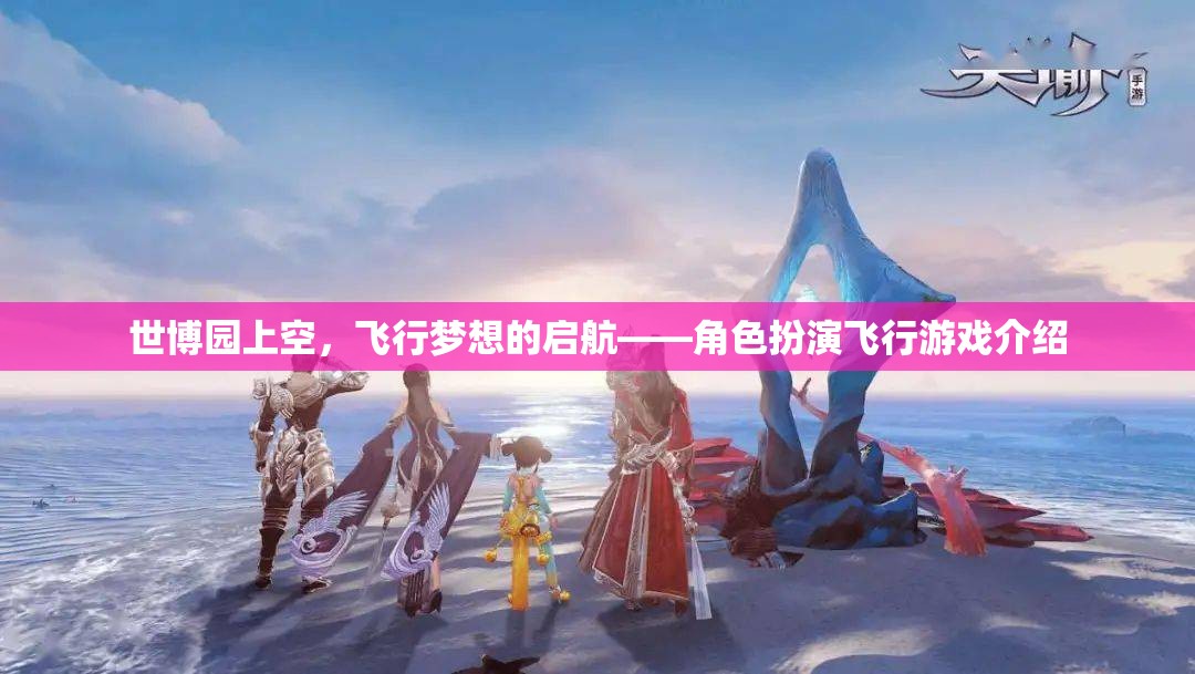 飛行夢(mèng)想的啟航，世博園上空的角色扮演飛行游戲