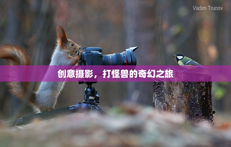 創(chuàng)意攝影，一場打怪獸的奇幻之旅