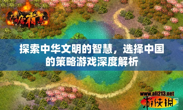 探索中華智慧，深度解析中國(guó)策略游戲的策略選擇