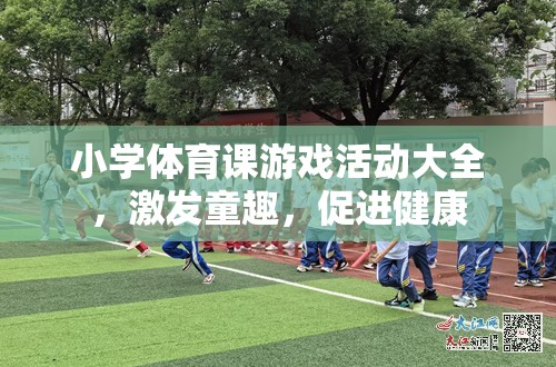 小學(xué)體育課游戲活動(dòng)大全，激發(fā)童趣，促進(jìn)健康