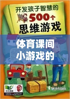 體育課間小游戲的智慧結(jié)晶，一本游戲解析書的探索之旅