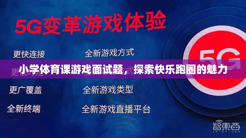 探索快樂跑圈的魅力，小學(xué)體育課游戲面試題解析