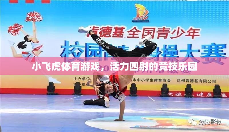 小飛虎體育游戲，活力四射的競(jìng)技樂(lè)園