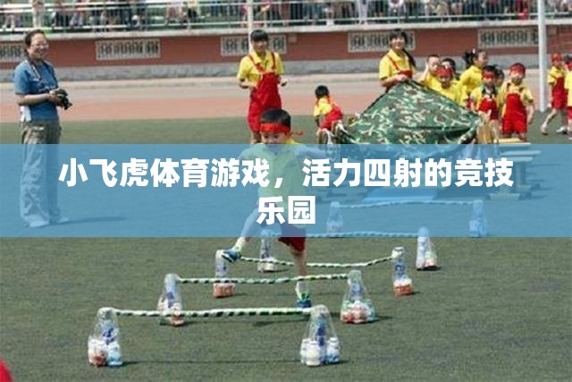 小飛虎體育游戲，活力四射的競(jìng)技樂(lè)園