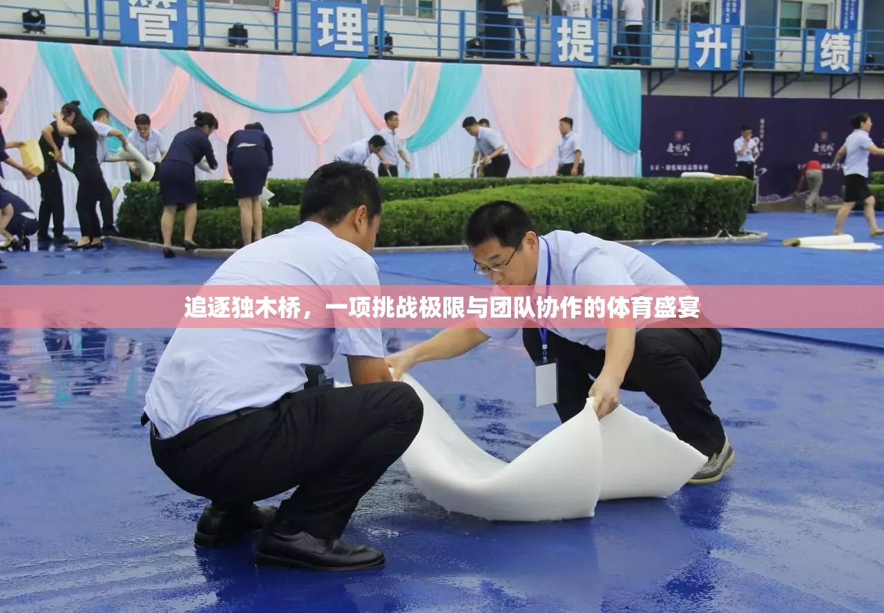 獨(dú)木橋上的極限挑戰(zhàn)，一場(chǎng)關(guān)于勇氣與團(tuán)隊(duì)協(xié)作的體育盛宴