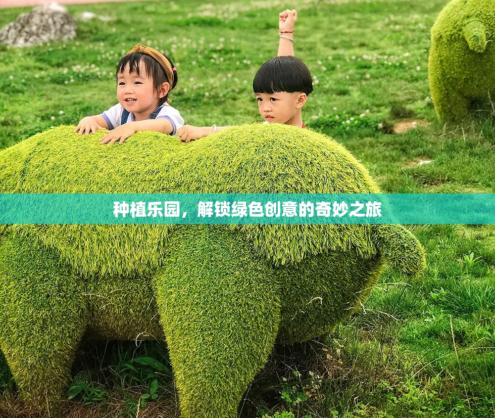 解鎖綠色創(chuàng)意，種植樂園的奇妙之旅