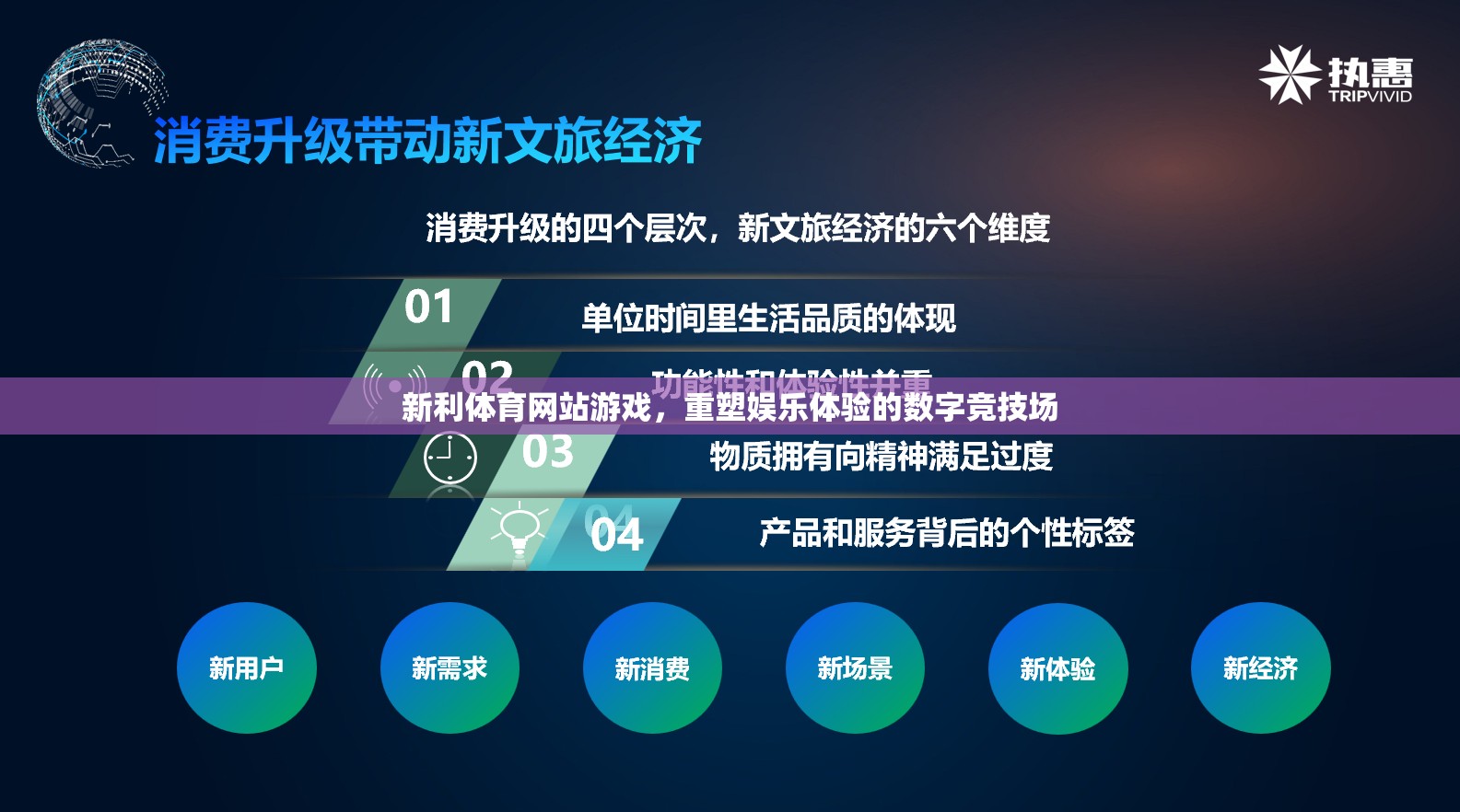 新利體育網(wǎng)站游戲，重塑娛樂(lè)體驗(yàn)的數(shù)字競(jìng)技場(chǎng)