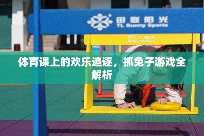 體育課上的歡樂追逐，抓兔子游戲全解析