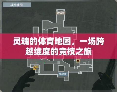 靈魂的體育地圖，一場(chǎng)跨越維度的競(jìng)技探索之旅