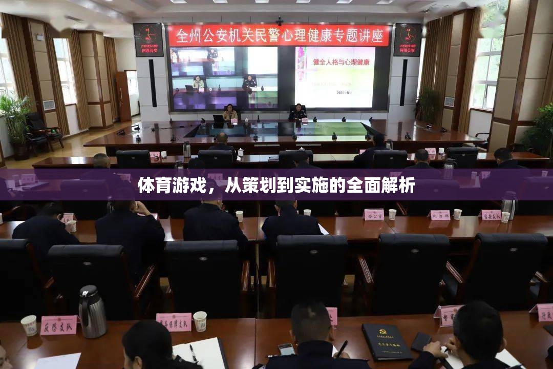 體育游戲，從策劃到實(shí)施的全面解析