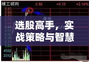選股高手，實戰(zhàn)策略與智慧較量的虛擬股市