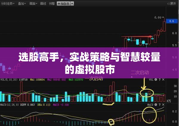 選股高手，實戰(zhàn)策略與智慧較量的虛擬股市
