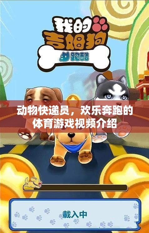 歡樂奔跑，動(dòng)物快遞員體育游戲視頻揭秘