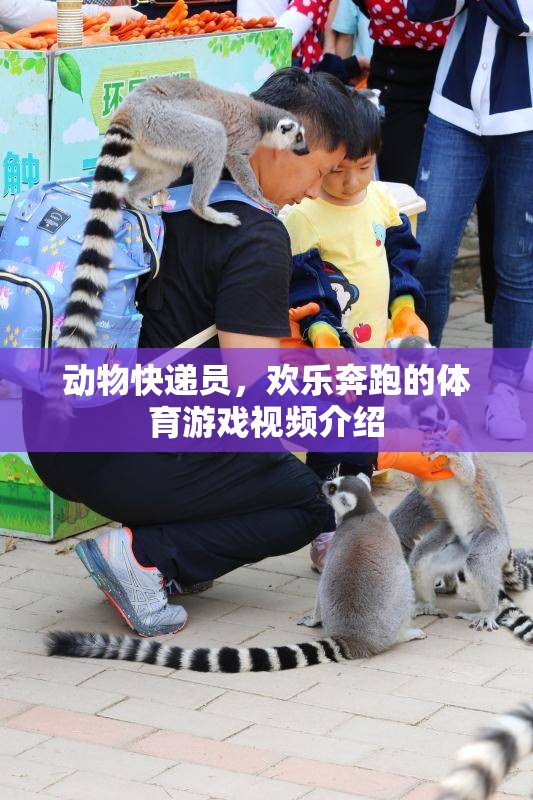 歡樂奔跑，動(dòng)物快遞員體育游戲視頻揭秘