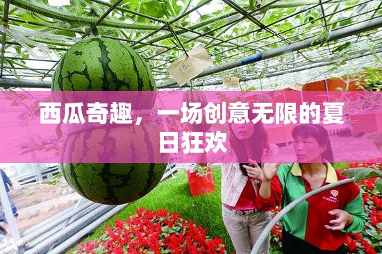 西瓜奇趣，解鎖夏日狂歡的創(chuàng)意盛宴  第3張