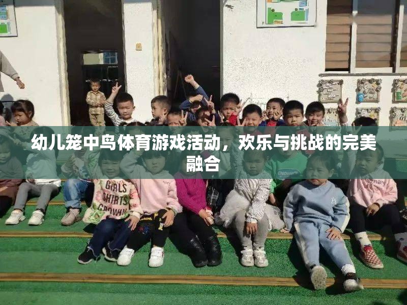 籠中鳥體育游戲，歡樂與挑戰(zhàn)的完美融合